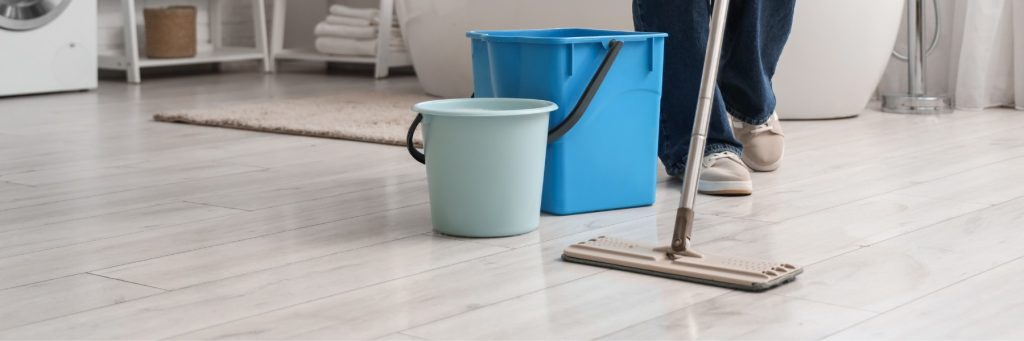 Cleaning Services in Oakland, MN