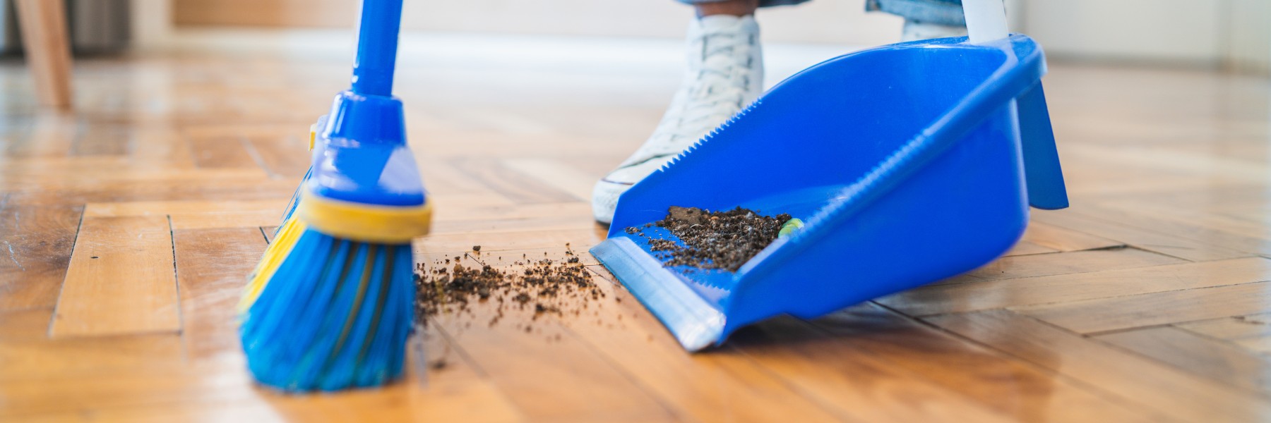Cleaning Services in Oakland, MN
